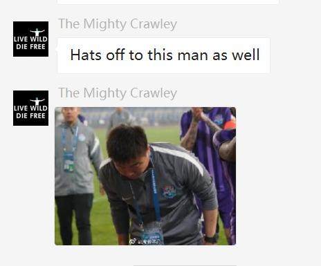 开云体育官网-天津津门虎队徽太难看啦!体坛加海外用户纷纷吐槽